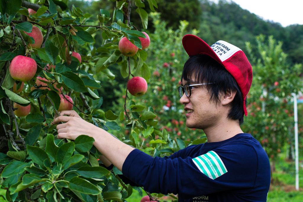Daichan Farm Guest House Asahi  Exteriér fotografie